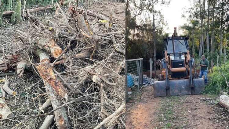 No local, foram apreendidos uma retroescavadeira e uma motosserra utilizadas na atividade irregular. Fotos PMNH/Divulgação