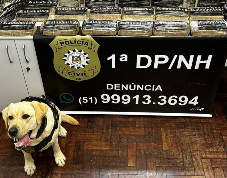 A cachorra farejou por em diversos locais até sinalizar a detecção de algo ilícito. Polícia Civil/Divulgação
