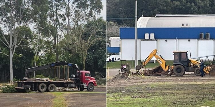 Caminhão e retroescavadeira estão envolvidos no processo de corte de árvores. Fotos Divulgação