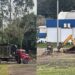 Caminhão e retroescavadeira estão envolvidos no processo de corte de árvores. Fotos Divulgação