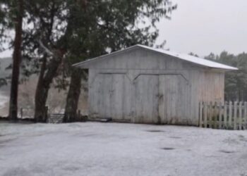 Campos amanheceram coberto pela neve. Reprodução