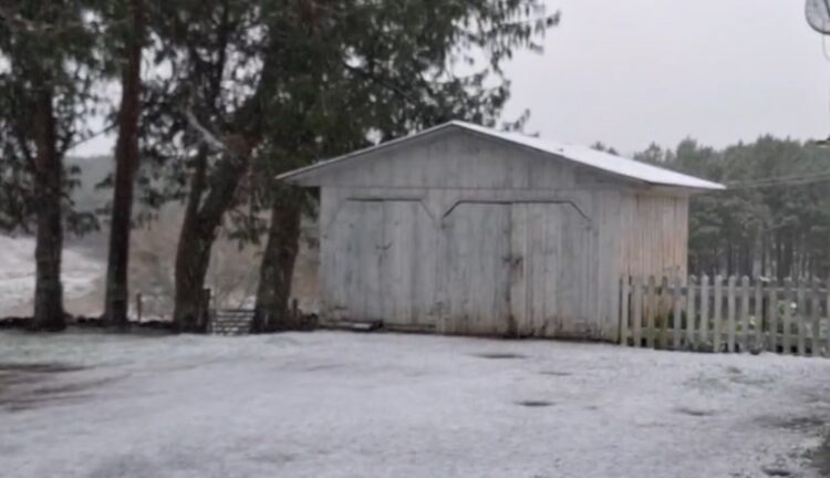 Campos amanheceram coberto pela neve. Reprodução