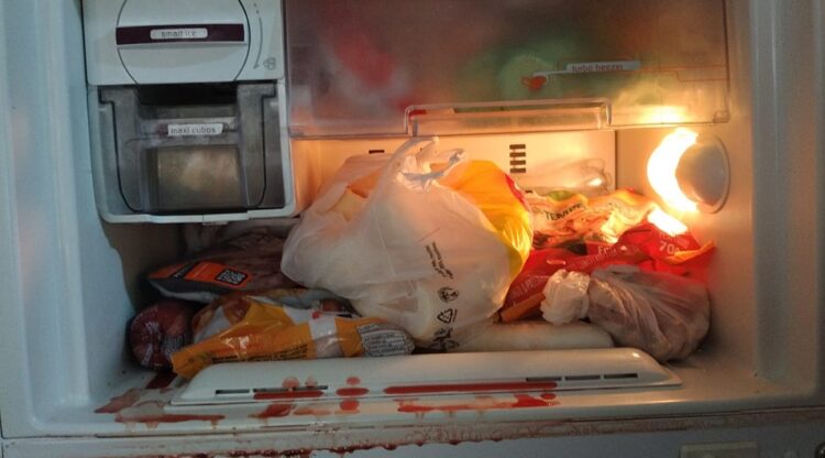 O estabelecimento mantinha alimentos vencidos, mal conservados e falta de higiene em diversos espaços. PMNH/Divulgação
