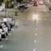 Episódio foi registrado na noite desta segunda-feira. PMNH/Reprodução