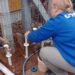 Os hidrômetros são responsáveis por medir o consumo de água nas residências e estabelecimentos. Comusa/Divulgação