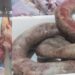 A linguiça vendida, segundo a denúncia, era "azeda e rançosa". Fotos PMNH/Divulgação