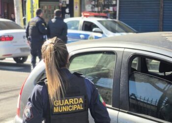 A Guarda Municipal de Novo Hamburgo prendeu um homem no bairro Rio Branco.  PMNH/Divulgação
