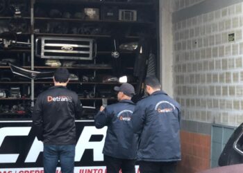 A ação da Polícia Civil contou com o apoio técnico do Detran/RS, Polícia Civil/Divulgação