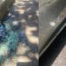 As marcas do crime em dois pontos da Rua Armindo Angeli ao lado do Complexo Hospitalar Unimed VS