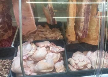 Verificou-se a presença de carnes sem procedência e de produtos com prazo de validade vencido armazenados no freezer. PMNH/Divulgação
