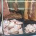 Verificou-se a presença de carnes sem procedência e de produtos com prazo de validade vencido armazenados no freezer. PMNH/Divulgação