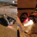 Quedas de motociclistas foram registradas na noite desta sexta-feira. Fotos Divulgação