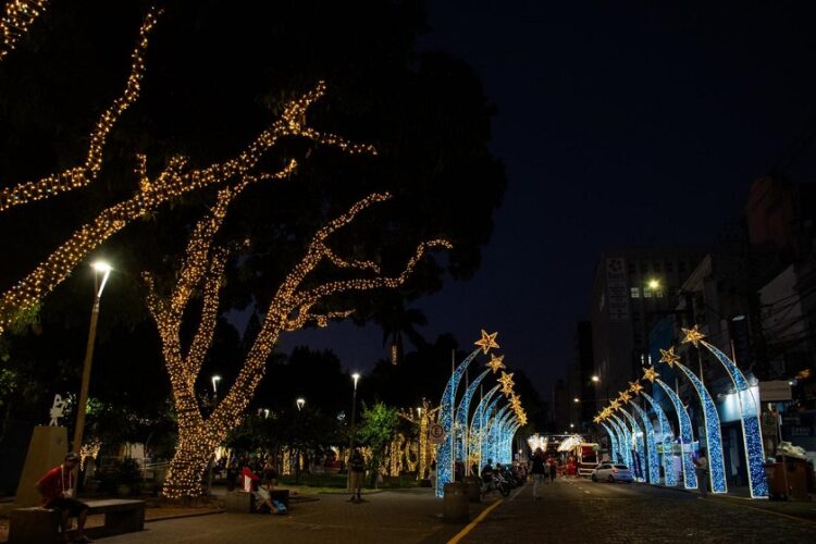 Avenida Pedro Adams Filho e Praça do Imigrante receberam decoração temática. Ramon Belmonte/PMNH