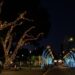 Avenida Pedro Adams Filho e Praça do Imigrante receberam decoração temática. Ramon Belmonte/PMNH