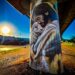 Projeto começou pelo bairro Rio dos Sinos. Fotos Fabio Pilger/Divulgação