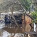 A proposta para colocação de aterro no banhado do Rio dos Sinos vem gerando muitas críticas da comunidade.