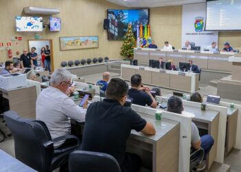 Votação foi concluída na segunda-feira. Pyetra Trindade/CMNH
