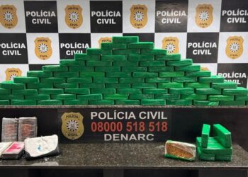 Polícia Civil/Divulgação