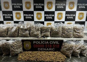 Droga foi apreendida no bairro Canudos. Polícia Civil/Divulgação