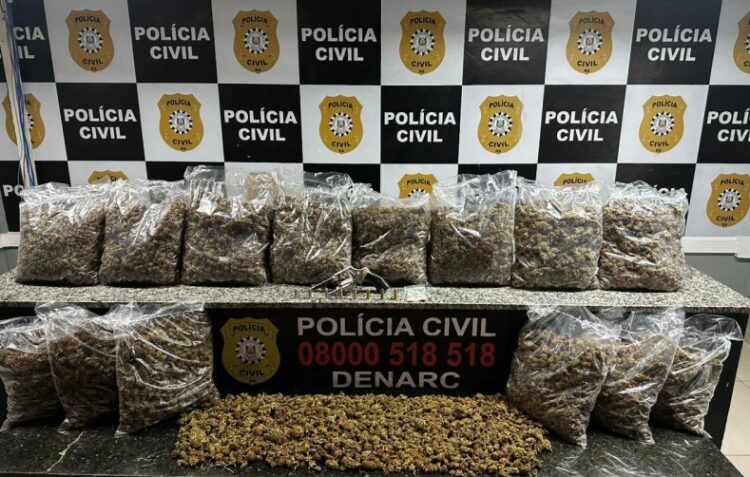 Droga foi apreendida no bairro Canudos. Polícia Civil/Divulgação