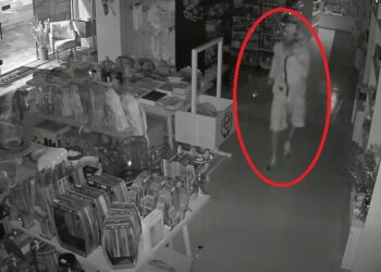 Após destruir vidraça, criminoso circulou por dentro da loja. Reprodução