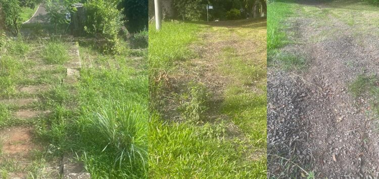 Situação verificada na Rua Paes Leme e na escadaria que se esconde no meio de tanto mato