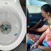Mulheres foram presas e provas tentaram ser destruídas no vaso sanitário. Fotos PMEV/Divulgação