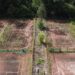 Um cenário triste e decadente: quadras de tênis arruinadas pelo tempo