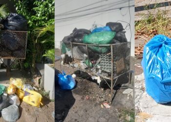 Fotos enviadas por leitores de diferentes bairros de Novo Hamburgo: lixeiras entupidas e sacos largados na frente das casas