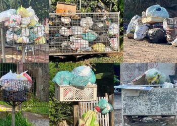 Nesta sexta-feira, as imagens confirmam: lixeiras transbordando em diferentes bairros