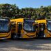 Zero quilômetro, os coletivos já estão identificados com a padronização visual utilizada no Município. Visac/Divulgação