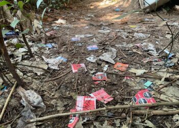 Centenas de preservativos espalhados em diferentes trilhas cercadas por pinheiros