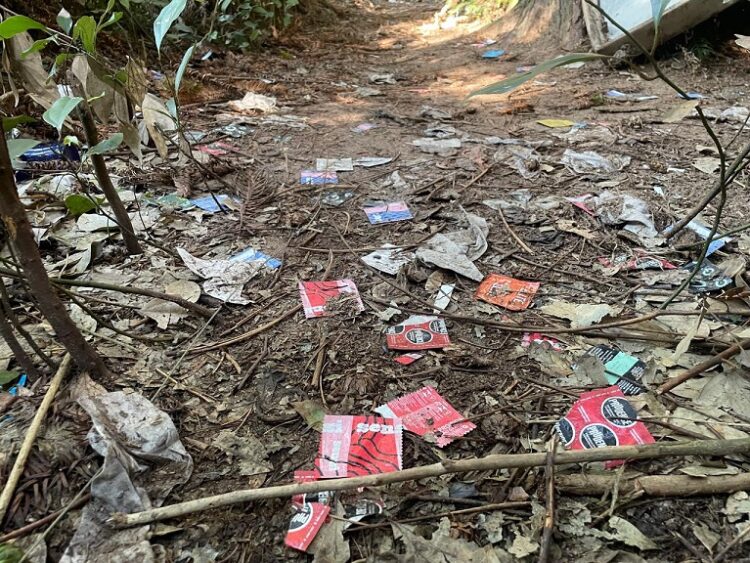 Centenas de preservativos espalhados em diferentes trilhas cercadas por pinheiros