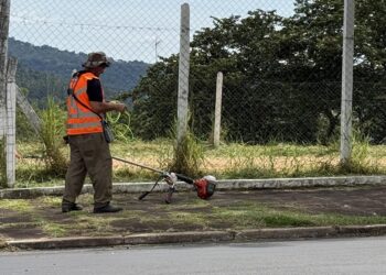 Como alternativa, a Prefeitura recomenda métodos seguros e permitidos para o controle de ervas daninhas, como a capina mecânica ou manual. PMEV/Divulgação