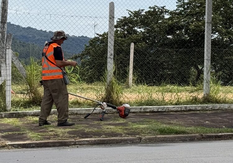Como alternativa, a Prefeitura recomenda métodos seguros e permitidos para o controle de ervas daninhas, como a capina mecânica ou manual. PMEV/Divulgação