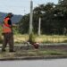 Como alternativa, a Prefeitura recomenda métodos seguros e permitidos para o controle de ervas daninhas, como a capina mecânica ou manual. PMEV/Divulgação