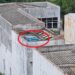Registro feito por morador do bairro Rio Branco e a preocupação com a água parada. Divulgação