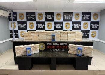 A expressiva apreensão impôs prejuízo superior a três milhões de reais às organizações criminosas envolvidas. Fotos Polícia Civil/Divulgação