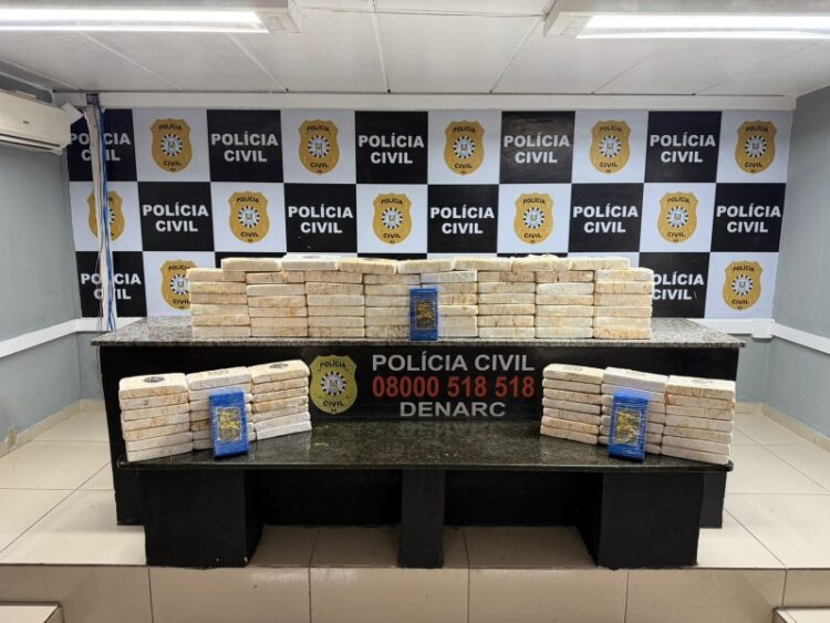 A expressiva apreensão impôs prejuízo superior a três milhões de reais às organizações criminosas envolvidas. Fotos Polícia Civil/Divulgação