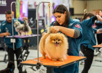 Muitas novidades para o universo dos pets são apresentadas. Diego Soares/Divulgação