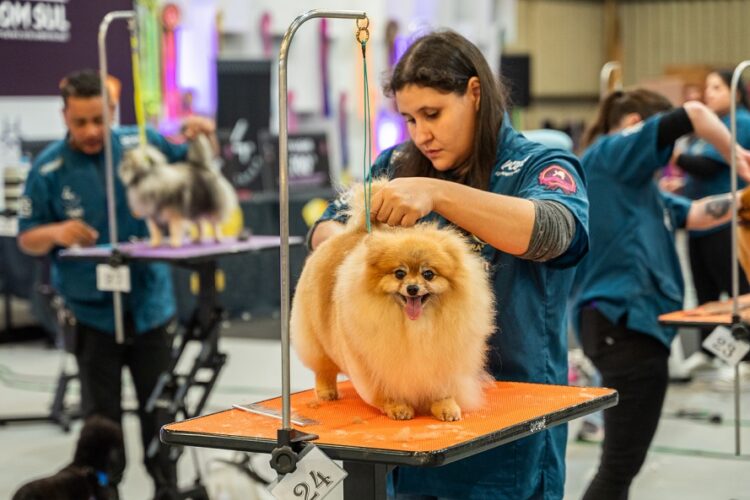 Muitas novidades para o universo dos pets são apresentadas. Diego Soares/Divulgação