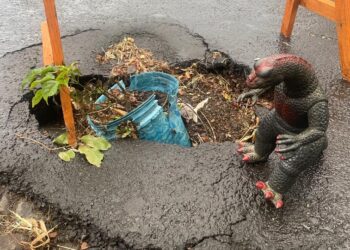 Cenário vergonhoso: moradores colocaram vaso de plantas há mais de dois meses para sinalizar o perigo