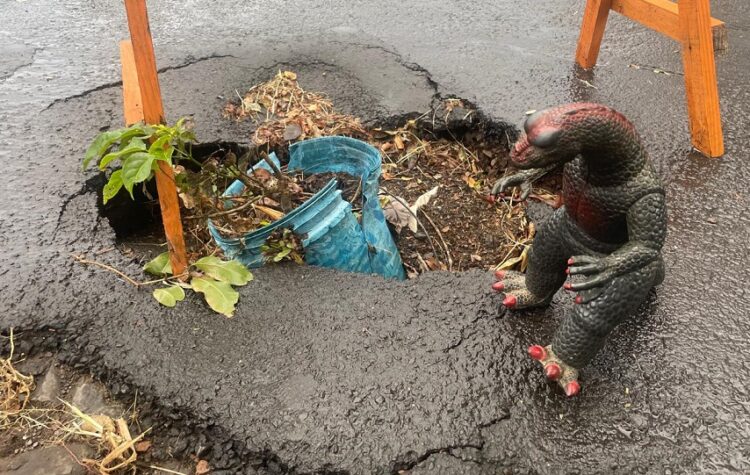 Cenário vergonhoso: moradores colocaram vaso de plantas há mais de dois meses para sinalizar o perigo