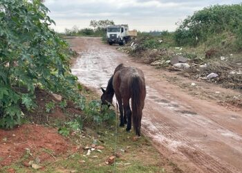 Acessos e entorno da Avenida dos Municípios está abandonado e sem infraestrutura