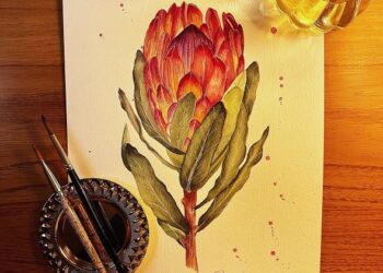 Obra de Carla Araújo