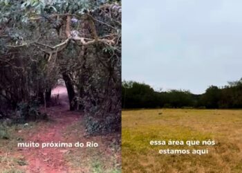 Imagens de terreno ao lado do Rio dos Sinos divulgadas pela vereadora Luciana Martins. Reprodução