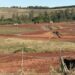 A movimentação é contínua de máquinas, caminhões e trabalhadores na imensa área de terrras junto da BR-116