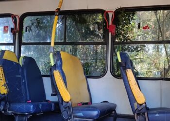 Ônibus avançou em área particular com árvores e diferentes vegetações. Divulgação