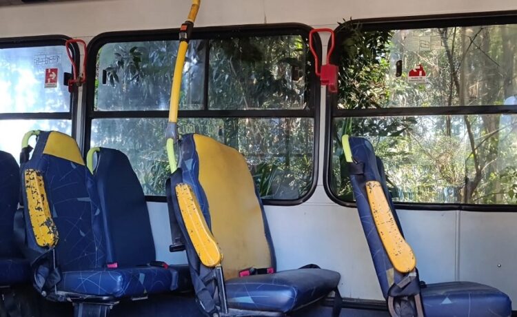 Ônibus avançou em área particular com árvores e diferentes vegetações. Divulgação