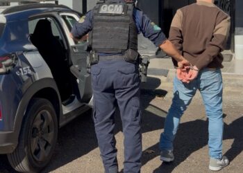 Com base nas características do suspeito, os agentes iniciaram as buscas pela região central e localizaram o indivíduo. PMEV/Divulgação